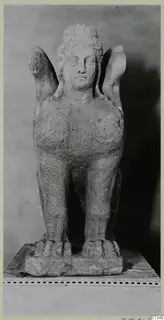 Soli