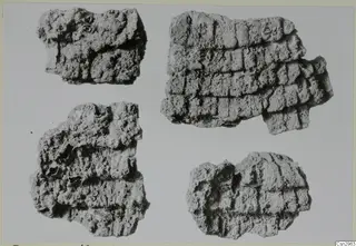 Fragment of a coat of mail