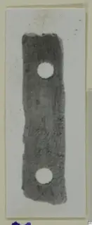 Bone