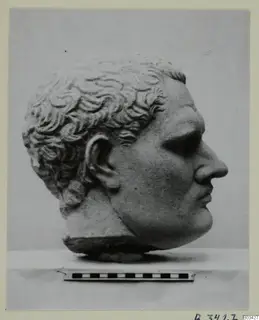 Marble head of a man in profile, short curly hair, shown with a scale bar beneath it.