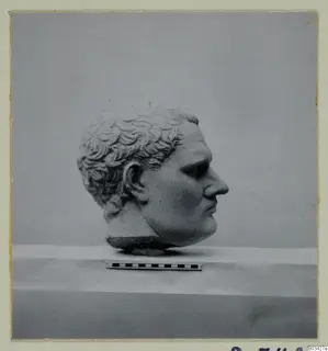 Stone head of a man with curly hair, shown in profile on a pale support beside a scale bar.