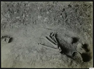 Skeleton bones and two vessels lying in excavated soil in Tomb 315 b-c at Lapithos