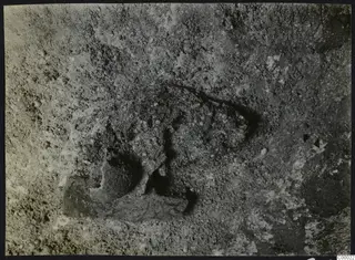 Excavated soil at Tomb 306 c., Lapithos, with a dark hollow and a partly buried curved object