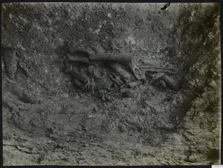 Excavation at Vrysi tou Barba, Lapithos, with a skeleton lying in the soil of a pit