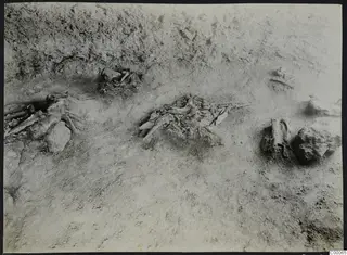 Tomb 303 a at Lapithos during excavation, with scattered skeletal remains and stones in the soil