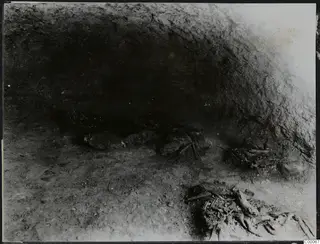 Tomb chamber at Lapithos during excavation, with stones and scattered skeletal remains on the floor