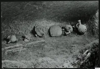 Tomb 408 at Lapithos: row of pottery vessels and long bones on the floor of a tomb chamber during excavation