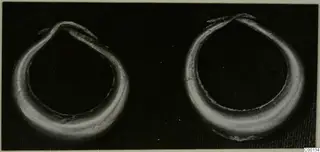 Two gold rings from Lapithos with overlapping open ends, photographed on a dark background
