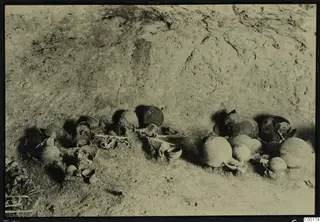 Grave goods in situ in Tomb 311 A at Lapithos: jugs, bowls and cups lying on sandy ground below an earth bank