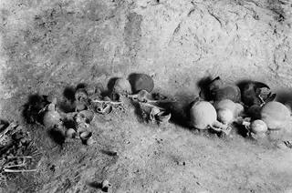 Grave goods in Tomb 311 A at Lapithos: pottery vessels and bones lying on a sandy tomb floor