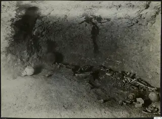 Tomb 311 at Vrysi tou Barba, Lapithos: tomb chamber with skeletal remains and a jug during excavation
