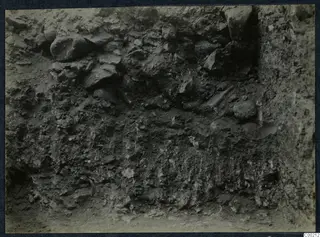 Excavated earth face with embedded stones during excavation of the theatre at Soli