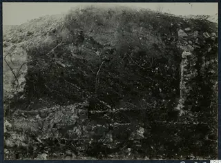 Excavated earth face at Soli theatre, with exposed stone masonry at the base and tree roots in the soil.