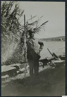 Toulis Souidos with a measuring stick on the beach at Soli, with wheelbarrows and reeds beside him.