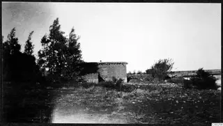 Low flat-roofed building with a shuttered window, surrounded by tall trees and scrubby ground