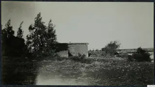 Low flat-roofed building with a shuttered window among tall trees and scrub on open stony ground