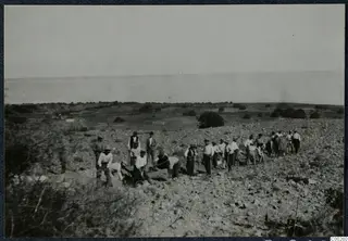 Men digging and standing in a line on a stony hillside at Soli, with the sea on the horizon behind them.