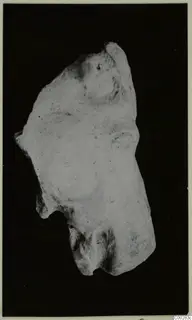 Fragment of a terracotta figurine, possibly an animal, shown against a black background