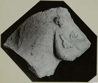 Broken terracotta fragment of a small animal figurine with raised modelled details, photographed on black.