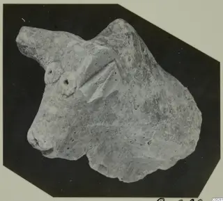 Terracotta figurine of an animal head, with round eyes, a projecting ear or horn and a broken lower edge