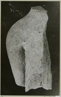Fragment of a small terracotta figurine from Soli, showing a rounded shoulder or arm and a broken edge
