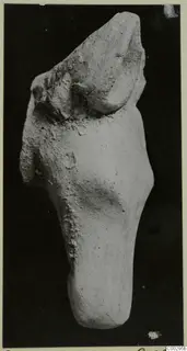 Fragment of a terracotta minor plastic animal figurine from Soli, photographed alone on a dark background