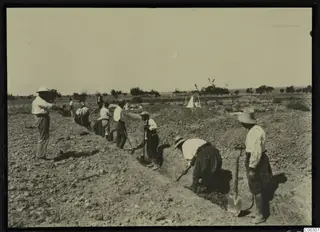 Workers digging a long trench across a flat field at Lapithos, using shovels and hoes.