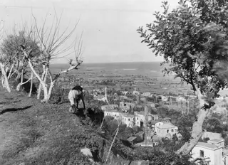 View over the town of Lapithos from a slope, with a horse or donkey standing in the foreground