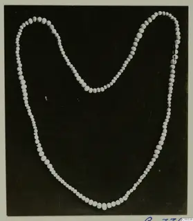 Necklace of small pale beads, graduated in size, laid out in a loop on a dark background.