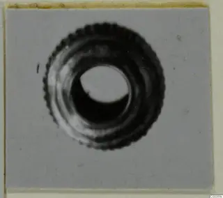 Ridged ring-shaped gold jewellery, probably from Tomb 420 at Lapithos