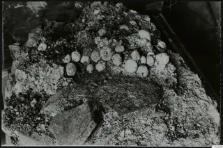 Tomb 322 b at Lapithos, Vrysi tou Barba: pale rounded objects set in encrusted soil inside a tomb chamber during excavation