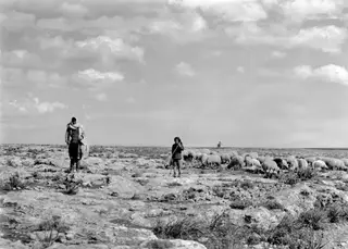 Two shepherds with a flock of sheep on a stony plain at Milia, with a small chapel on the horizon.