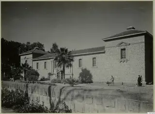Long pale stone building of the Cyprus Museum in Nicosia, with palm trees and people by a low wall
