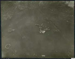 Tomb 60 at Marion during excavation, showing small beads, a pale shell-like object and two rings in the soil