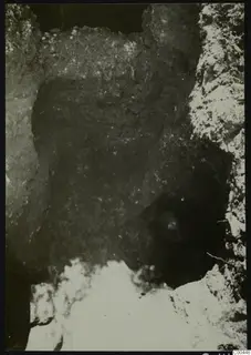Tomb 9 at Marion during excavation, a dark cut in the soil with roots and stones visible