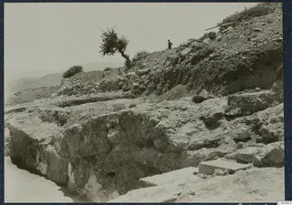 Excavated hillside at Vouni with stone walls, a lone tree and one standing person on the slope