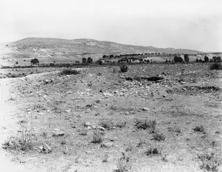 Overview of Gunnis's excavation at Marion, a stony field with shallow hollows, low hills and trees beyond
