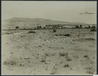 Overview of the excavated ground at Marion, with stony soil in the foreground and hills and scattered trees beyond
