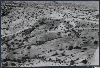 Hilly scrubland with scattered bushes and a winding dirt road, seen from above, near the palace at Vouni.