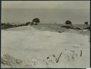 Excavated pale limestone ground at Vouni with scrubby trees on the slope and the sea beyond