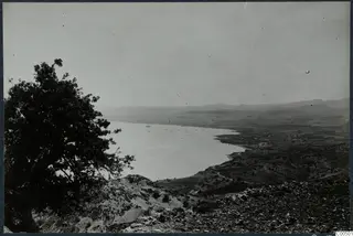 View over a curving bay from high ground at Vouni, with a large tree on the left and hills in the distance.