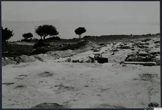 Excavated ground with stone block ruins at Vouni, with the sea, low hills and trees beyond