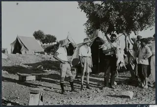 Three tents and six men standing around a tree, with an animal carcass hanging from a branch at Vouni