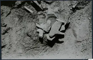Finds in situ in excavated soil at Vouni Palace: several pale, worn objects lying together in the ground.