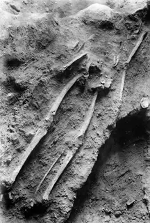 Vouni, the Korakas tombs (1–16)