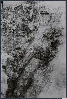 Excavation at Vouni showing scattered bones, a curved metal object and small stones in loose soil