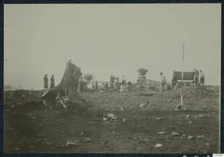 Many people working at the excavation at Vouni, with a large tree stump and a bird on the stony ground in the foreground.