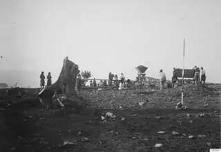 Many people working at the Vouni Palace excavation on a bare hilltop, with a large tree stump in the foreground