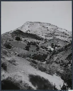 Hillside at Vouni with a bare pale summit, scrubby bushes and a sloping track in the foreground.