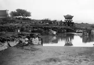 Vouni: the palace and finds in situ